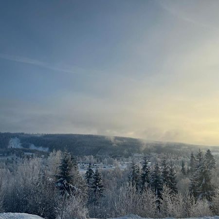 Koselig Rom I Rolige Omgivelser Amot Dış mekan fotoğraf